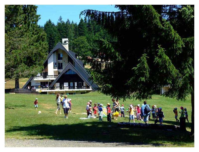 Odmor na planini Tari - www.tara-planina.com (Apartmani, Vikendice i sobe)